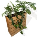 k5-606020-d-plants.jpg