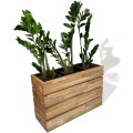 k5-604020-d-plant.jpg