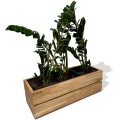 k5-602020-d-plant.jpg
