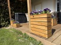 k5-wiz_garden1.jpg