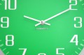 simple1_zoom_zielony.JPG